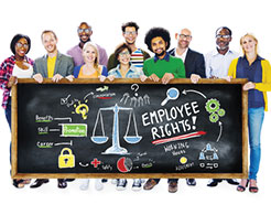Employment Law